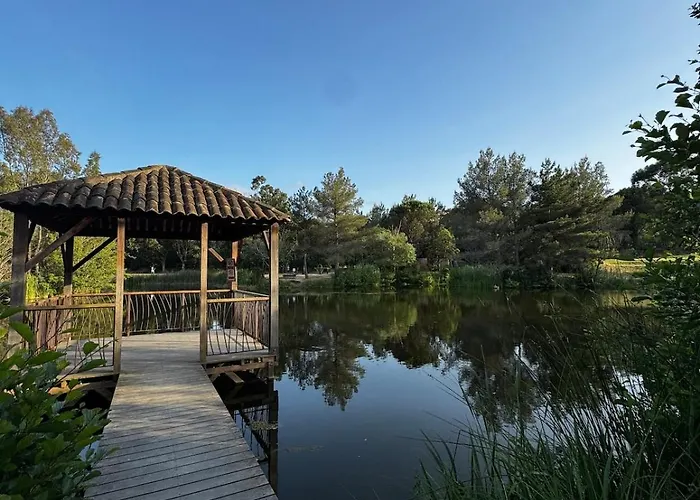 Les Restanques 3 Bedroom Leona Semesterbostad Grimaud